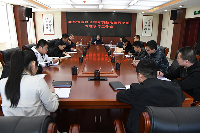 市城投公司專項(xiàng)整治領(lǐng)導(dǎo)小組召開(kāi)專題學(xué)習(xí)工作會(huì)