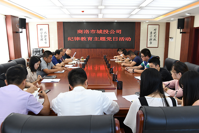 市城投公司開展“明紀(jì)律、知敬畏、存戒懼、守底線、做表率”紀(jì)律教育學(xué)習(xí)活動(dòng)