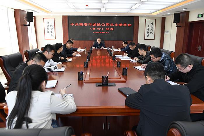 市城投公司召開(kāi)總支委員（擴(kuò)大）會(huì)議    傳達(dá)學(xué)習(xí)習(xí)近平總書(shū)記來(lái)陜考察重要講話     重要指示精神