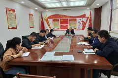 公司第二支部開展“戴黨徽、亮身份、亮標準、亮承諾、展先鋒”主題黨日活動