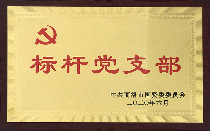 市城投公司第一黨支部榮獲市國資委黨委 “標桿黨支部”稱號