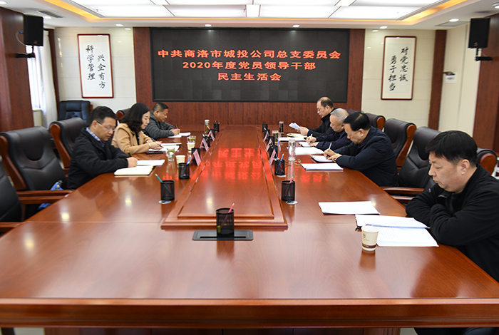 商洛市城投公司黨總支召開(kāi)2020年度民主生活會(huì)