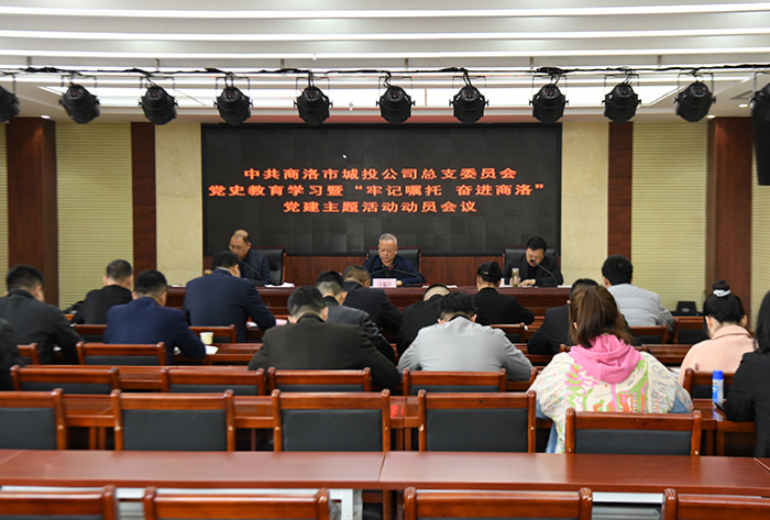 公司黨總支召開(kāi)黨史學(xué)習(xí)教育暨“牢記囑托、奮進(jìn)商洛”黨建主題活動(dòng)動(dòng)員會(huì)議