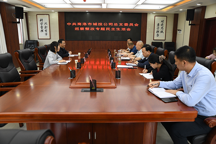 公司黨總支召開巡察整改專題民主生活會(huì)